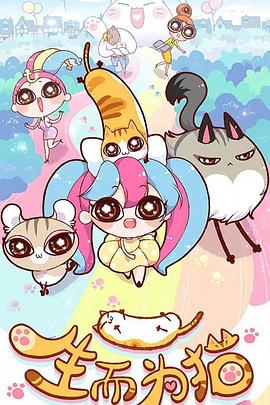 内丘本地网站优化招聘